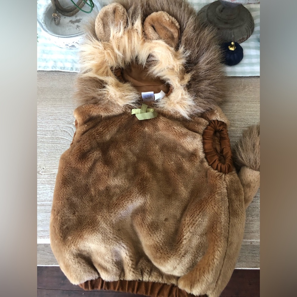 Infant lion costume